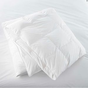 Crate and Barrel Full/Queen Classic Heavyweight Down Duvet Insert